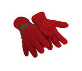 Fleece gloves - DR04